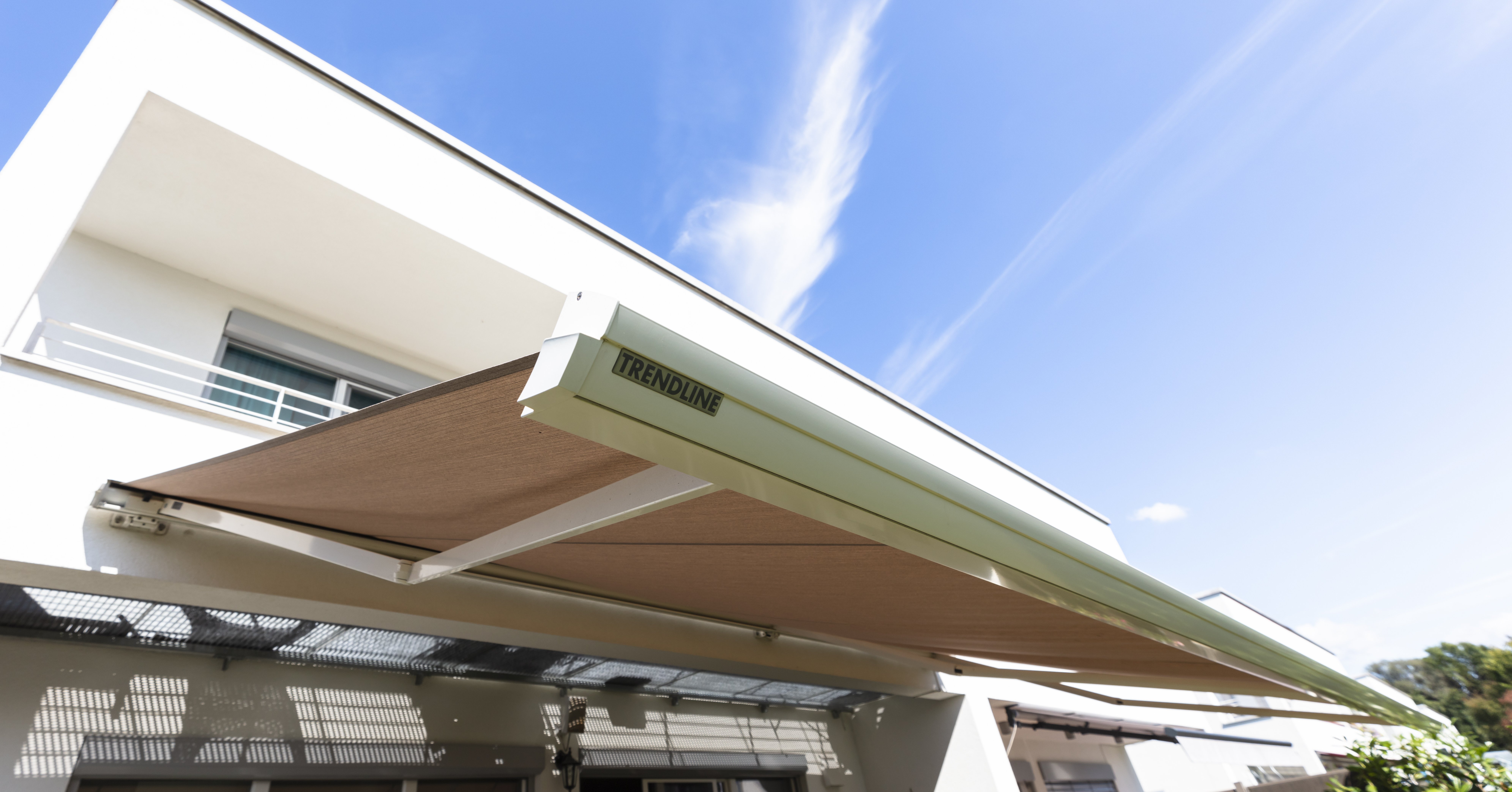 vertikal markise 400 cm HOMEDEMO Senkrechtmarkise Außen, Vertikalmarkise ohne Bohren, Balkonrollo mit Einstellbare Handkurbel, Sichtschutz Sonnenschutz Windschutz, Garten, 150x(220-310) cm, Stoffbreite 135,5 cm, Anthrazit Schnitzel vom Riesenbovist: Ein Color:Ametist Purple Boobies